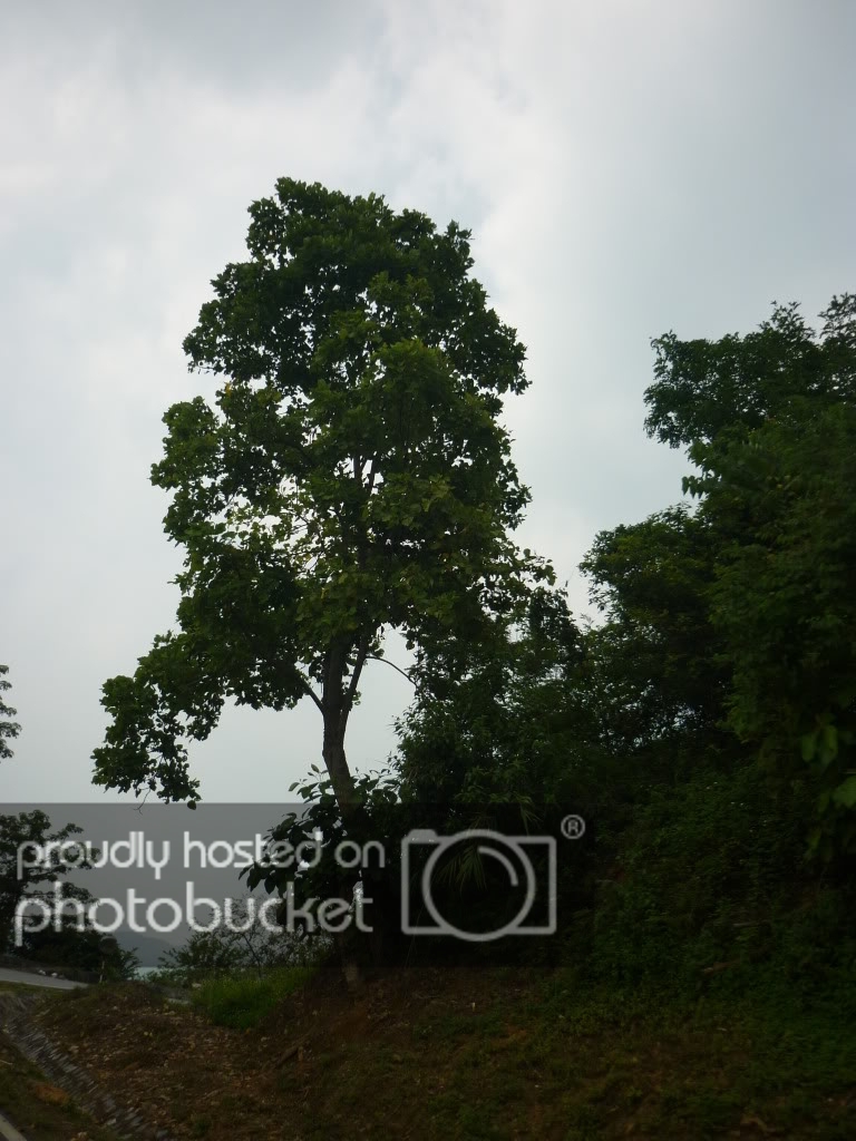 P1010346.jpg