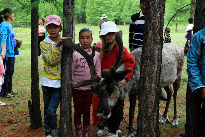 IMG_7078_zps5ab86695.jpg