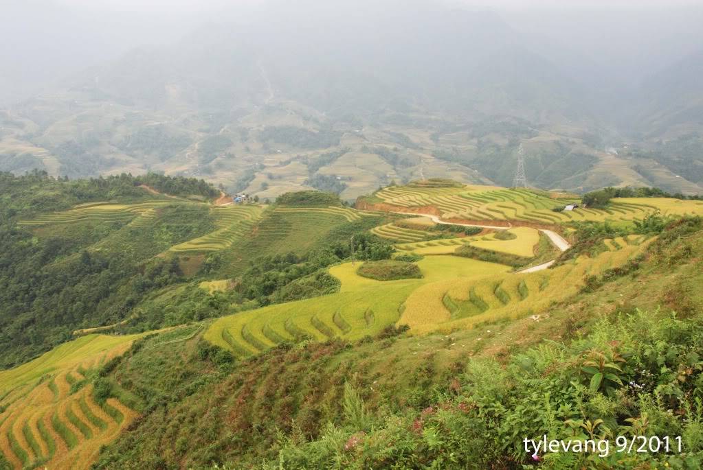sapa73.jpg