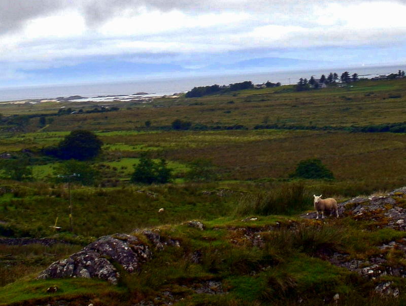 DSC_2781.jpg