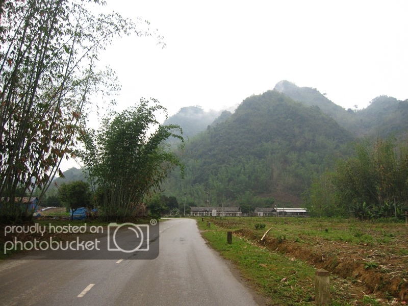 IMG_0766_zps547a5b77.jpg