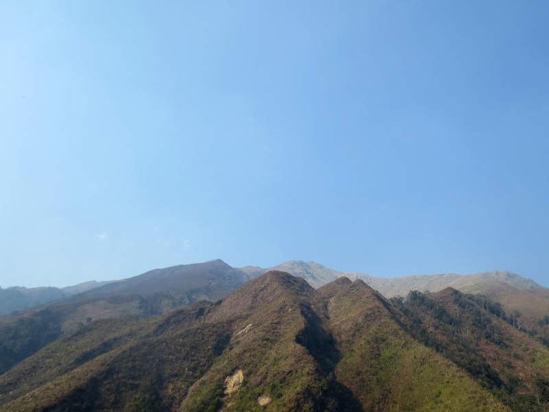 IMG_2942_zps30bf6011.png