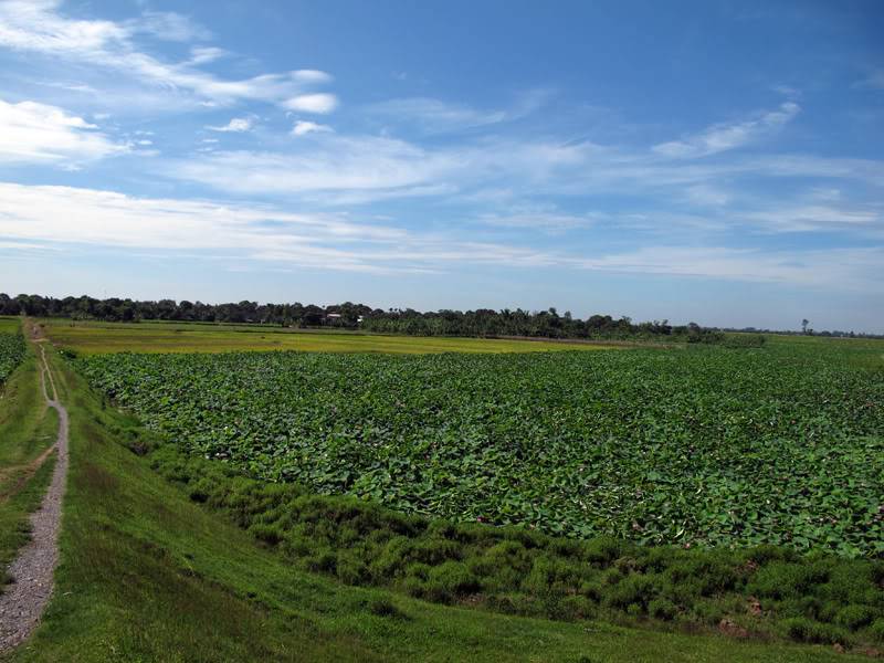 STB_7918.jpg