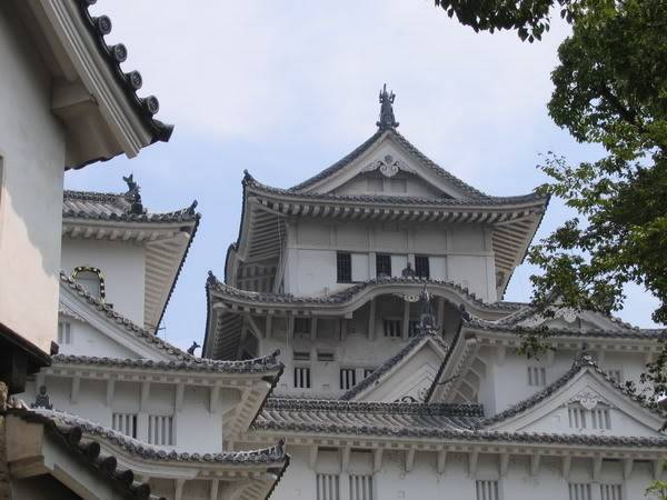 IMG_0535_resize.jpg