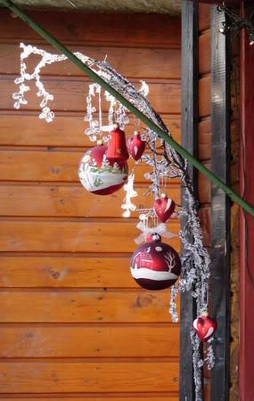 DSC00888.jpg