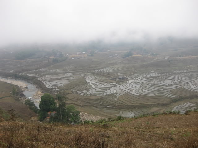 IMG_1737.jpg