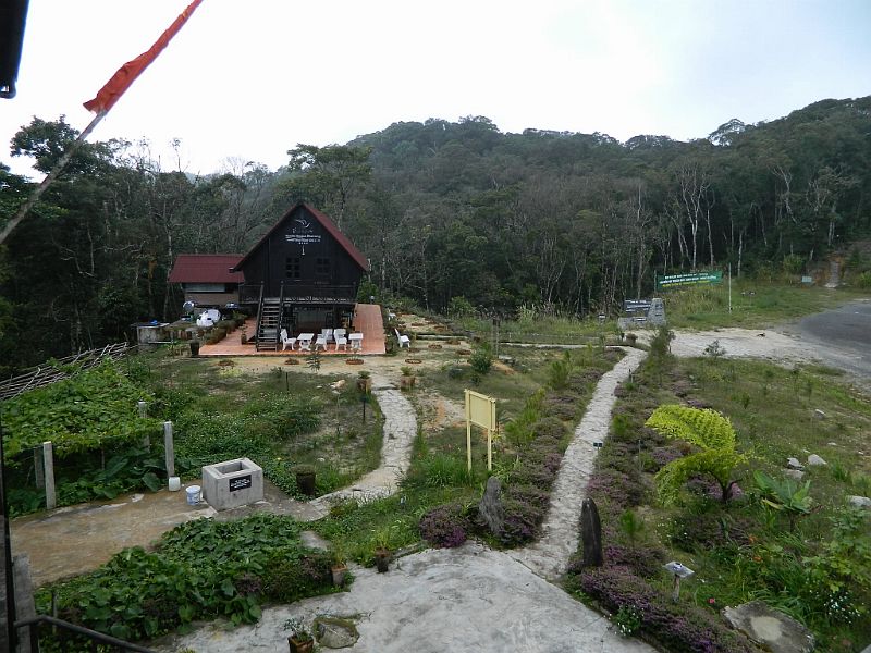 DSCN2619.jpg