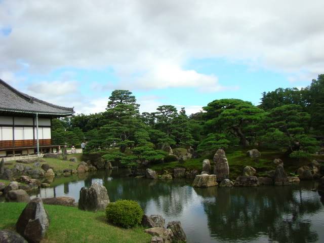 DSC00882.jpg