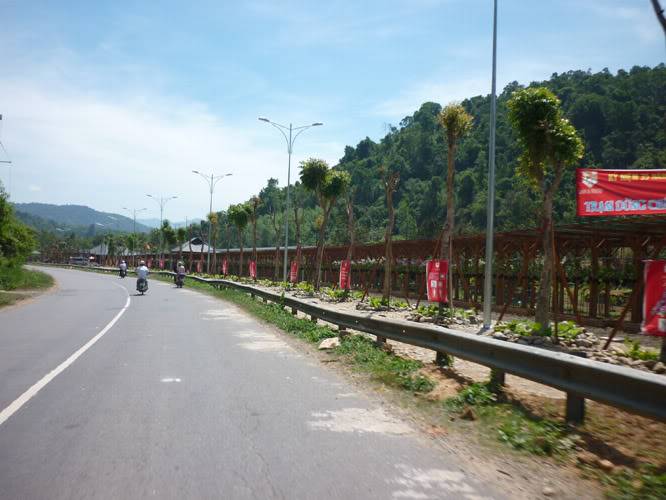 P1310244.jpg