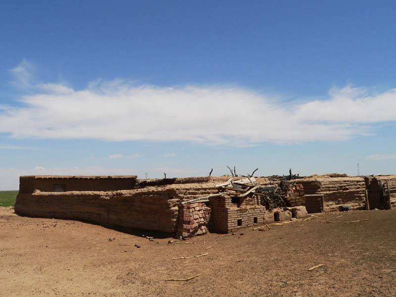 nhanguoiMOngCoNOiMOng.jpg
