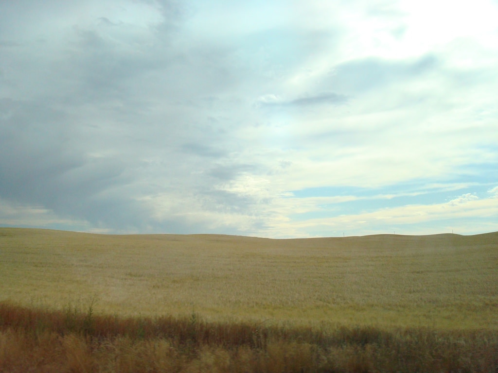 1047174045_63c957a055_b.jpg