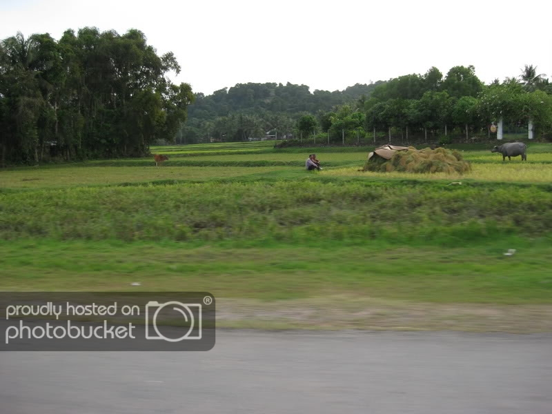 IMG_0301_resize.jpg