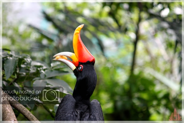 birdpark39.jpg