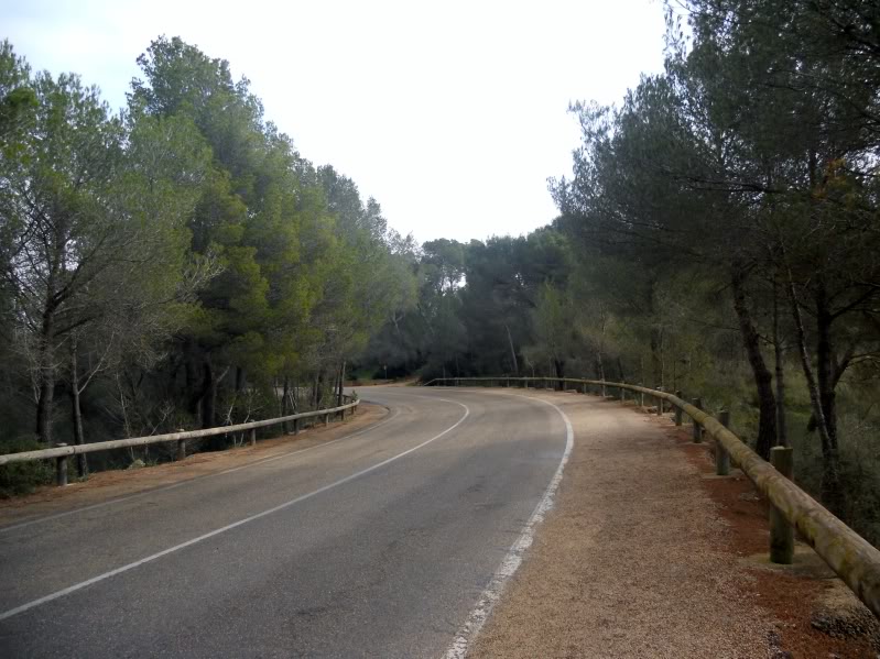 DSCN6642.jpg