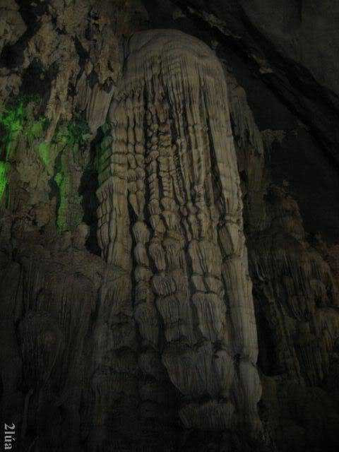 IMG_2591.jpg