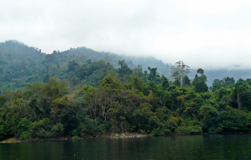 P1050574.JPG