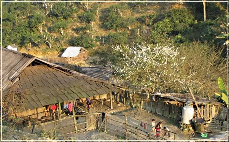 Checothu35.jpg