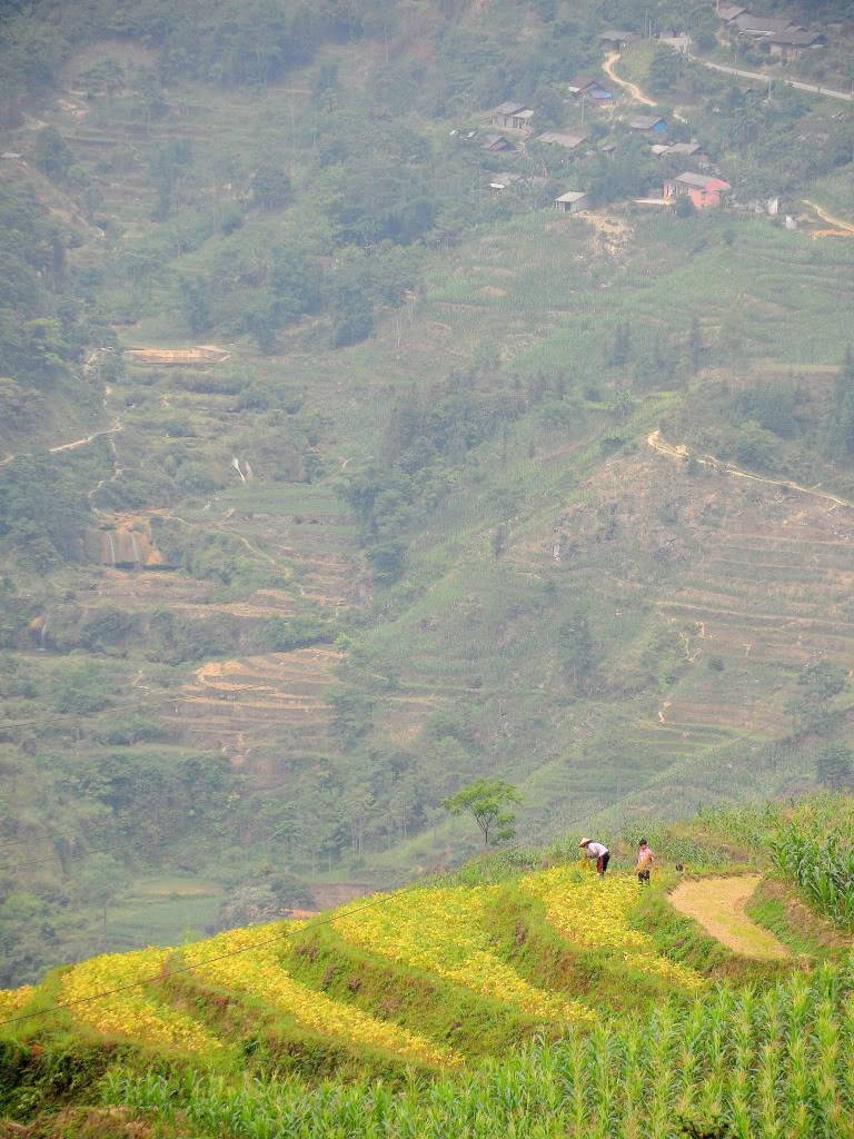 SAM_0892.jpg