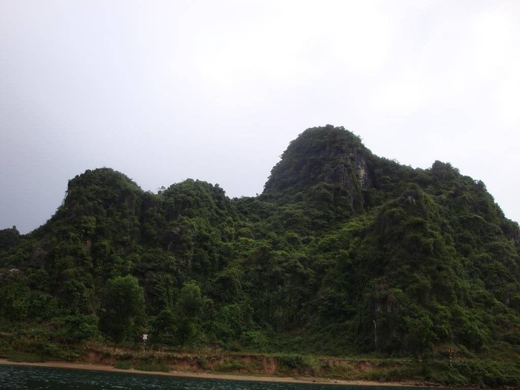 DSC06432.jpg