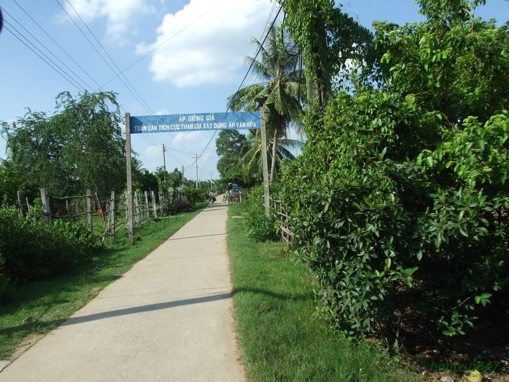 hoaminh-14.jpg