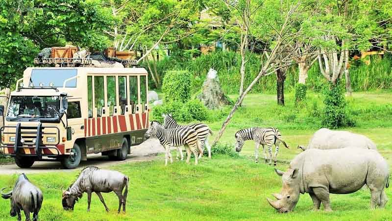 Công viên FLC Zoo Safari Park ở Kỳ Co Quy Nhơn