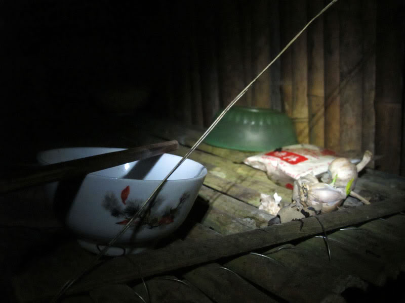 HongNgai2011682.jpg