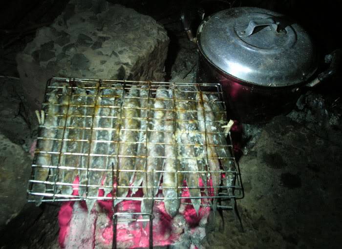 DSCN1017.jpg
