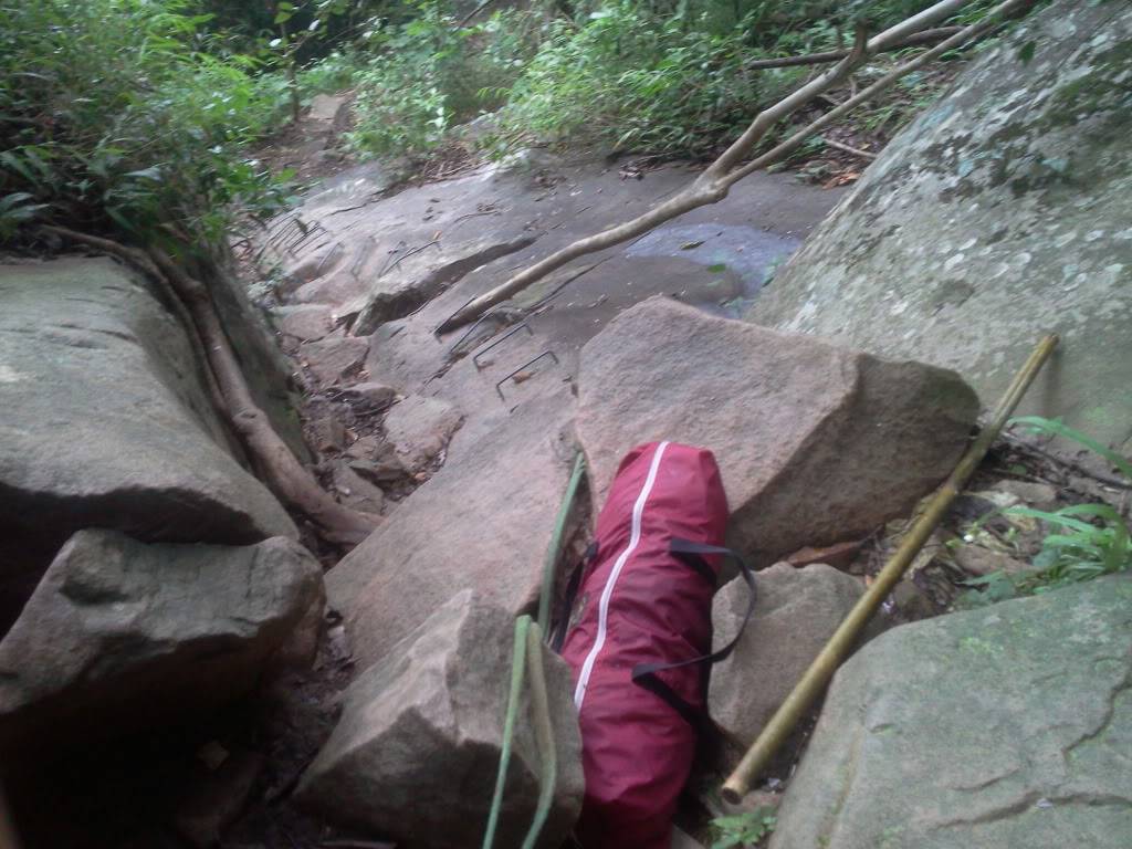 Photo0803.jpg