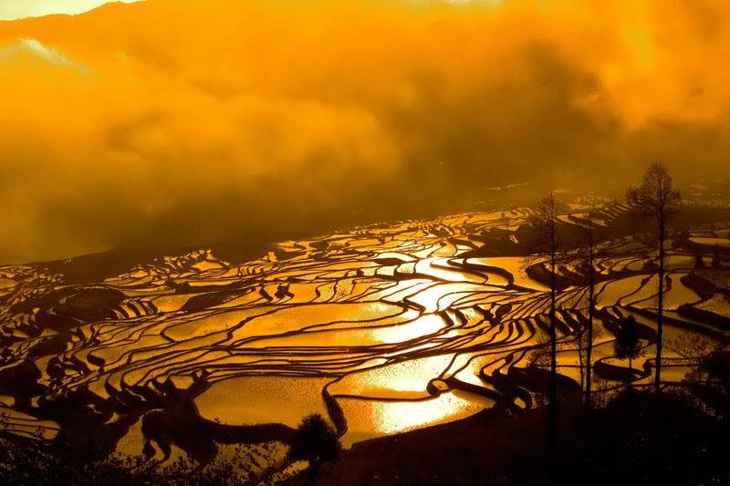 crw_5406__qingkou.jpg