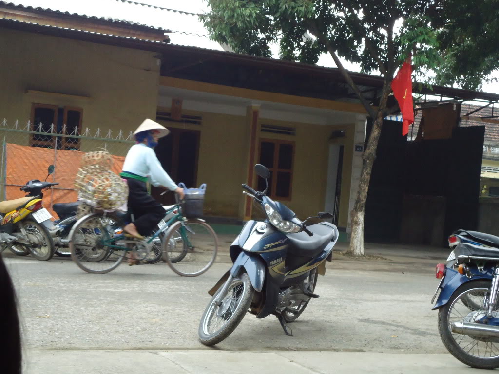 DSC01041-1.jpg