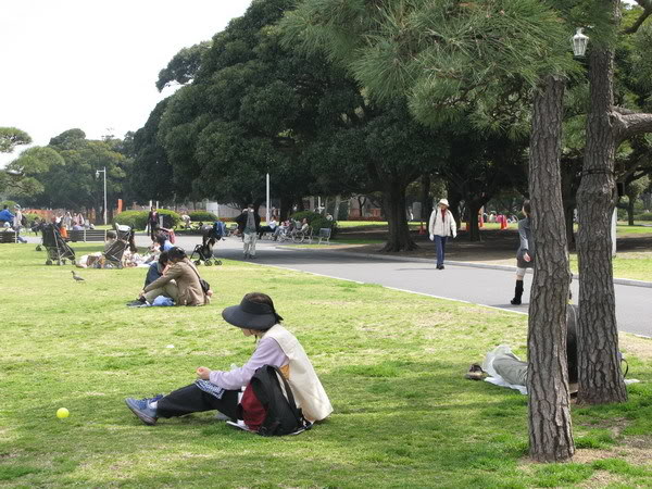 IMG_2095_resize.jpg
