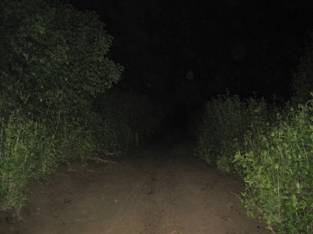 7356747166_379df89576_z.jpg