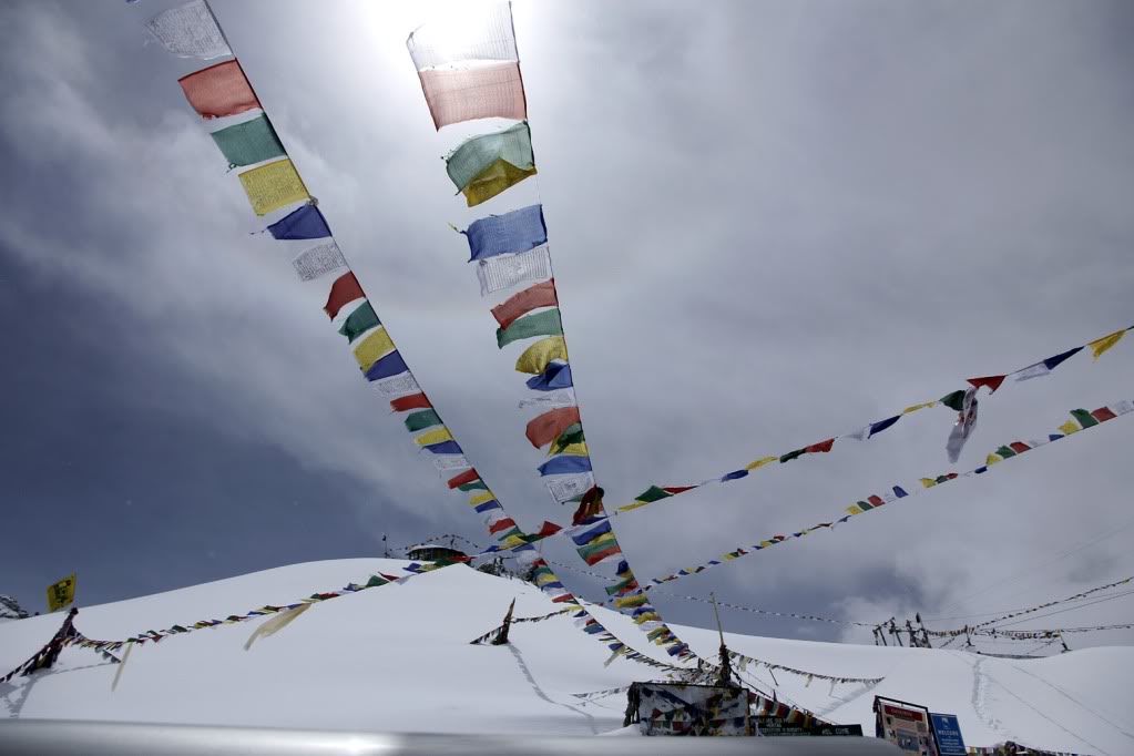 _MG_1028.jpg