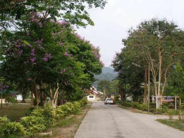 P3190068.jpg