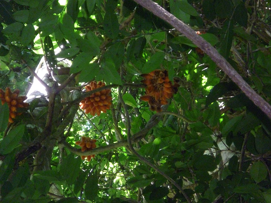 P1070264_zps000b48fe.jpg