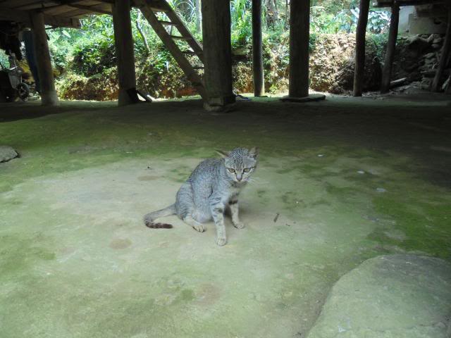 DSC00750_zps707adb8f.jpg