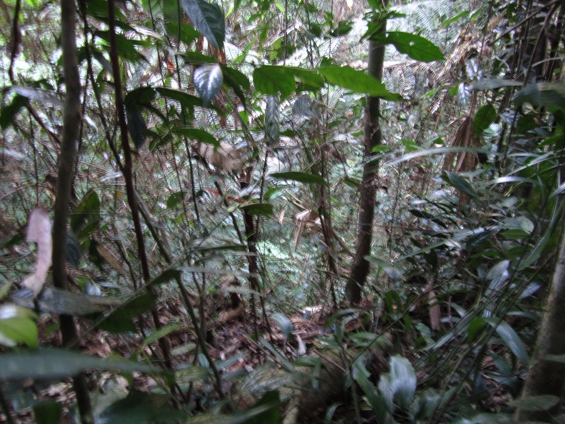 1246_zps1b7e5944.jpg