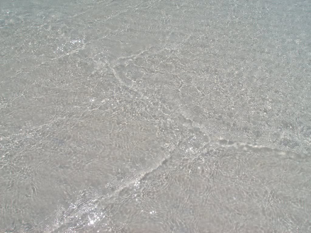 SANY4395.jpg