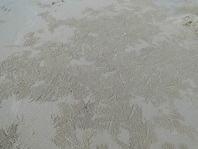4918777899_e6c595674a_z.jpg