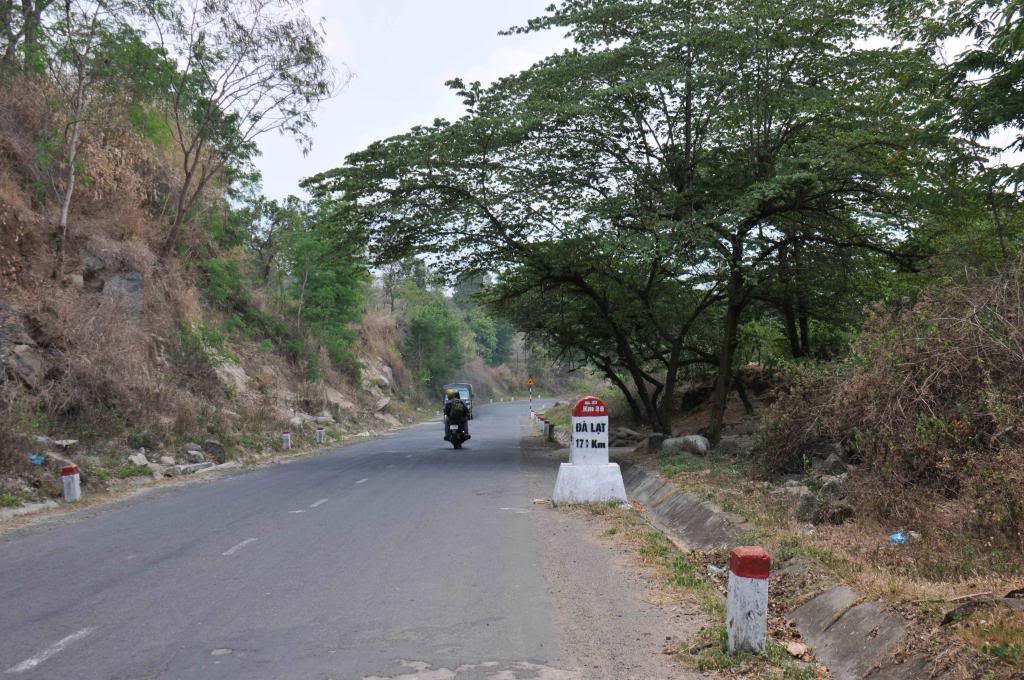 DSC_4913_zps100cc18c.jpg
