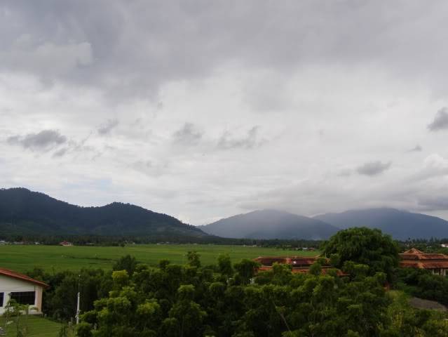 P7120494.jpg