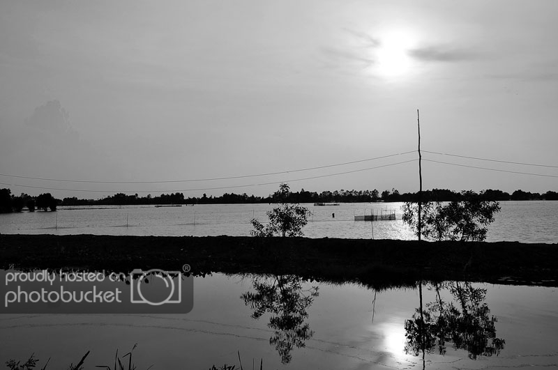 DSC_5227.jpg