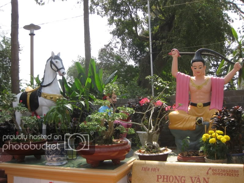 DongThapTET2011117.jpg