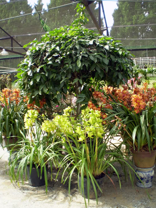 PC150141.jpg