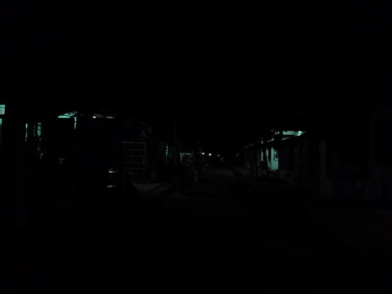 P1030202800x600.jpg