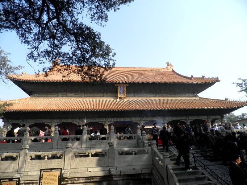PA243066.jpg