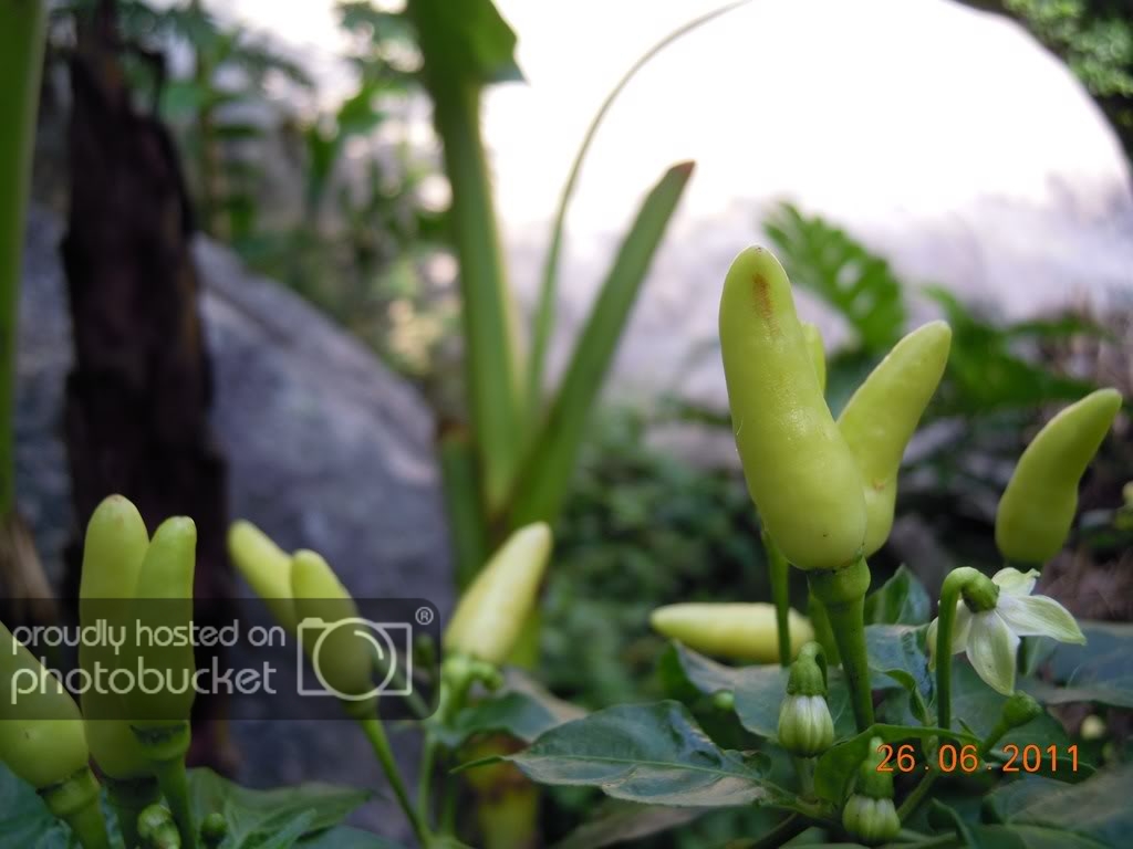 DSCN2477.jpg