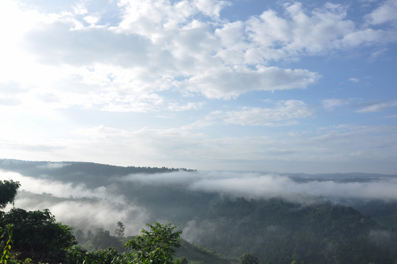 DSC_1431.jpg