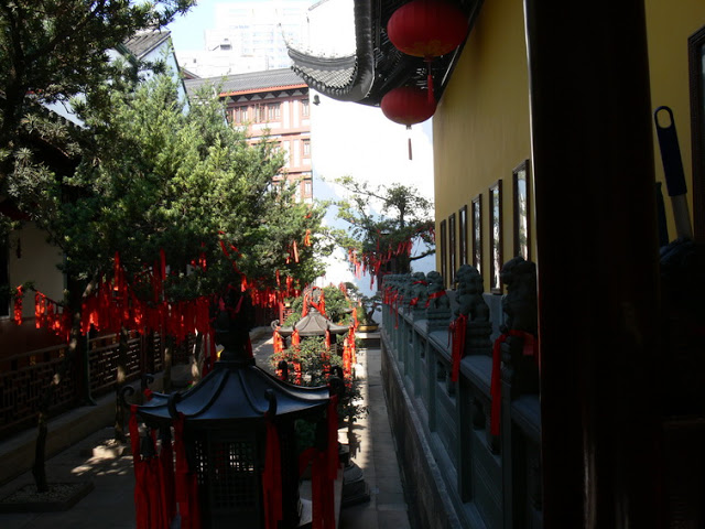 P1040551.JPG