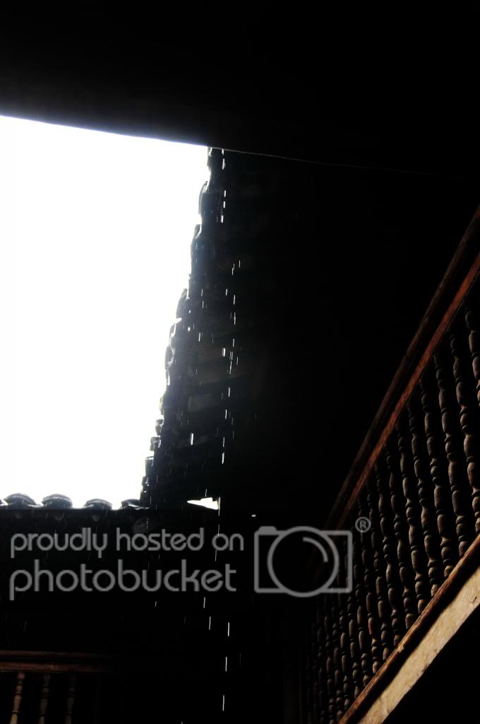 DSC_9897_zpsb7c959e7.jpg